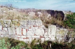 cetatea turris