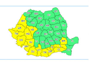 cod galben de caniculă