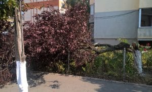 urgie în Teleorman furtună