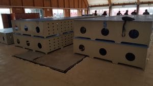 strandul din alexandria