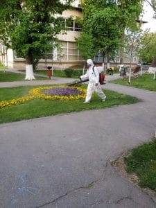 dezinsecție