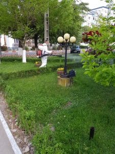 dezinsecție