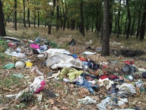 mizerie padure Alexandria