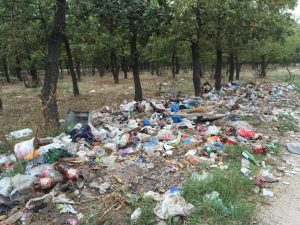 mizerie padure Alexandria