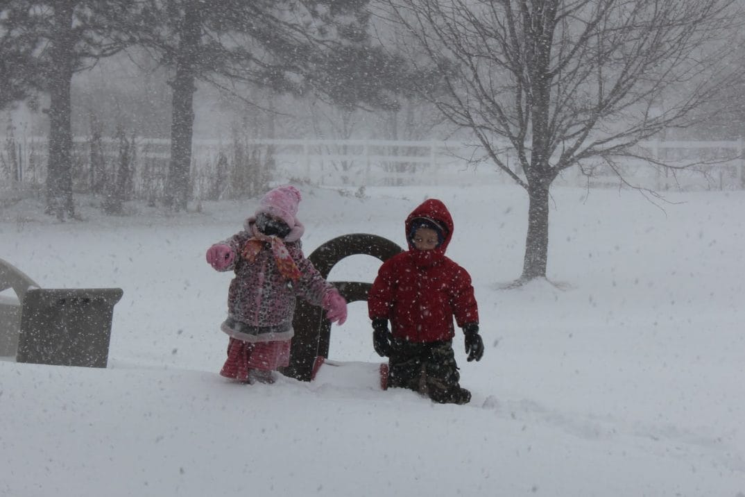 frig, ninsori și vânt puternic