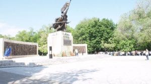 9 mai marcata la turnu magurele