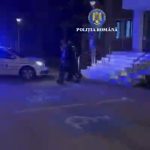 Agresorul din Beciu a fost reținut! Caii au ajuns în adăpost